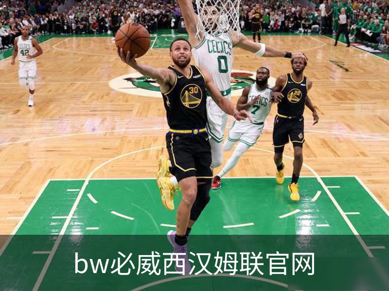 bw必威西汉姆联官网简介